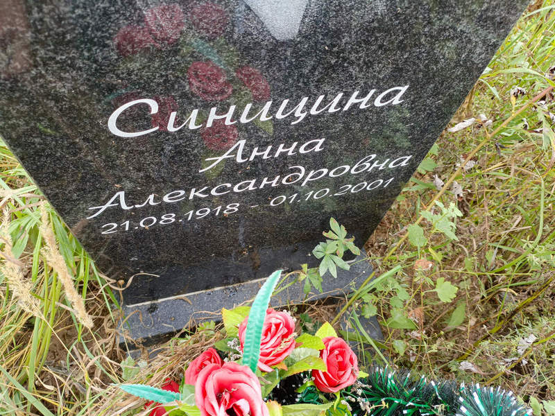 Синицина