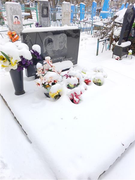 Толокнов Алексей Михайлович