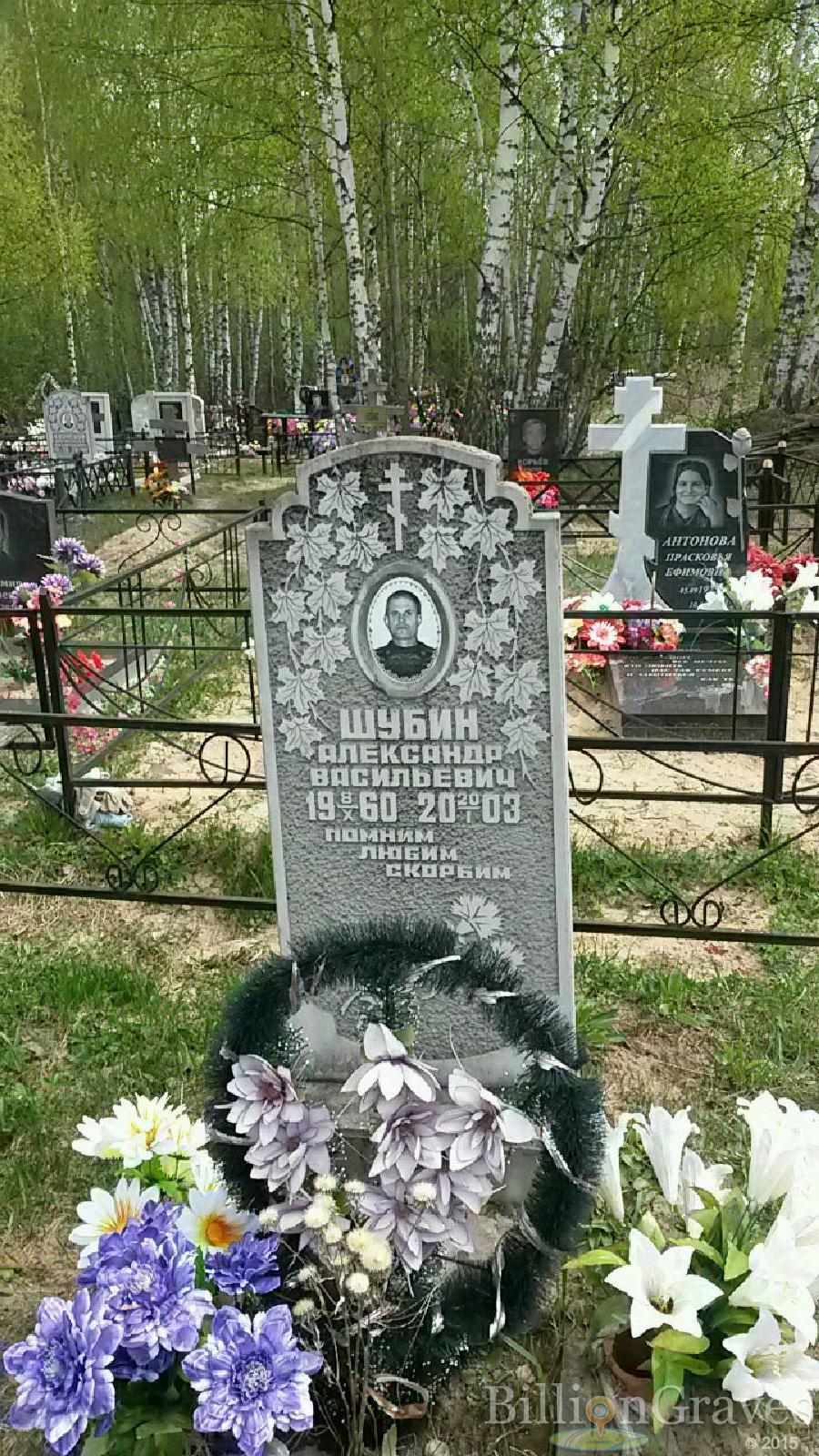 шубин александр васильевич