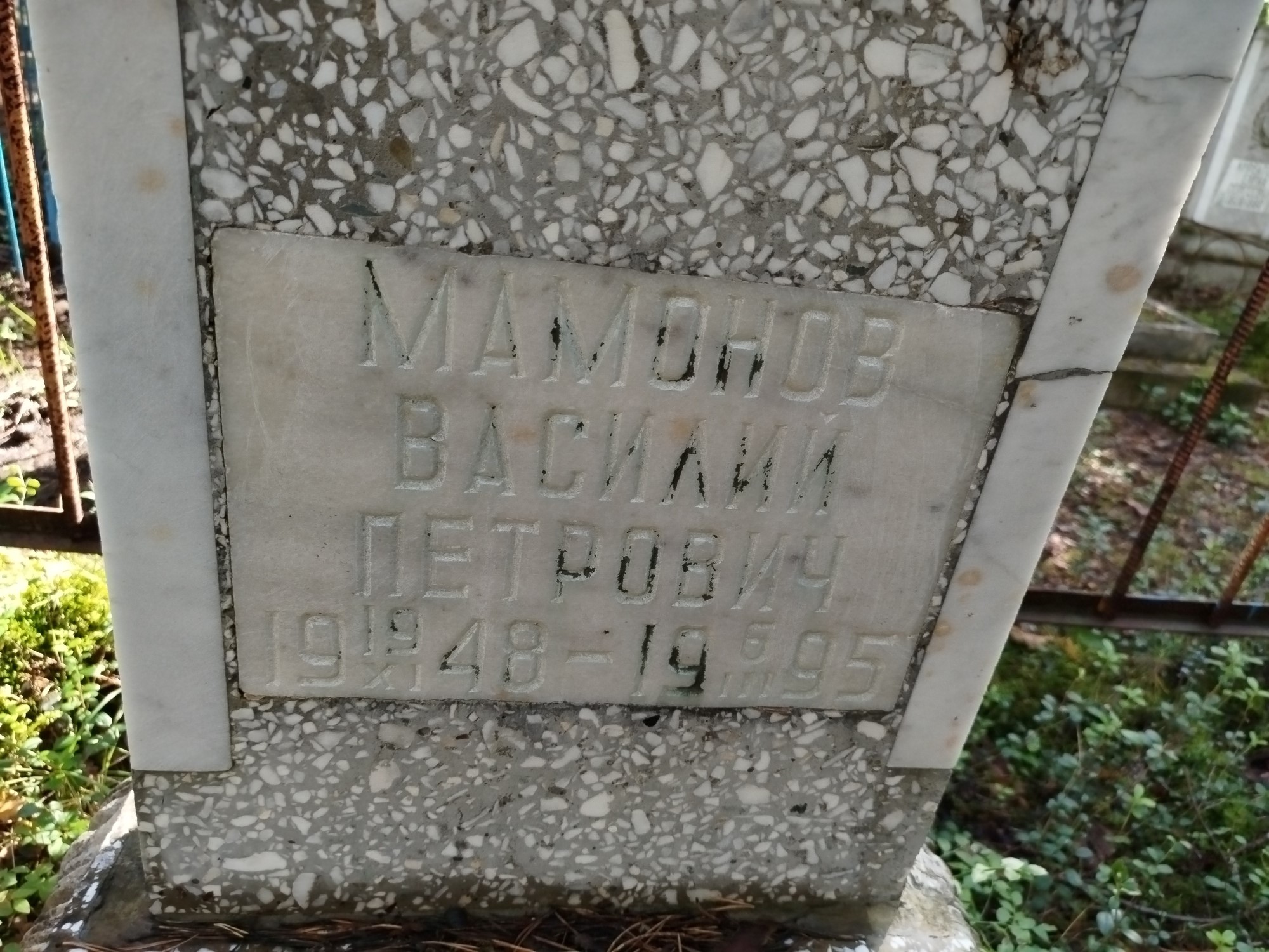 Мамонов Василий Петрович
