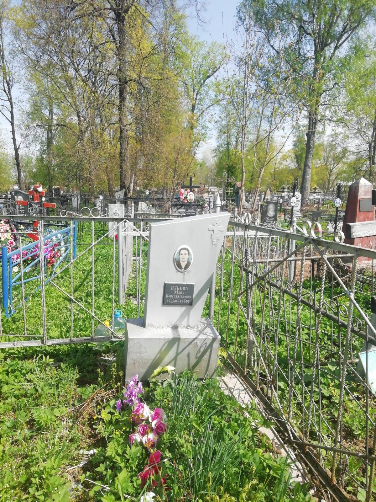 Ильева Майя Константиновна