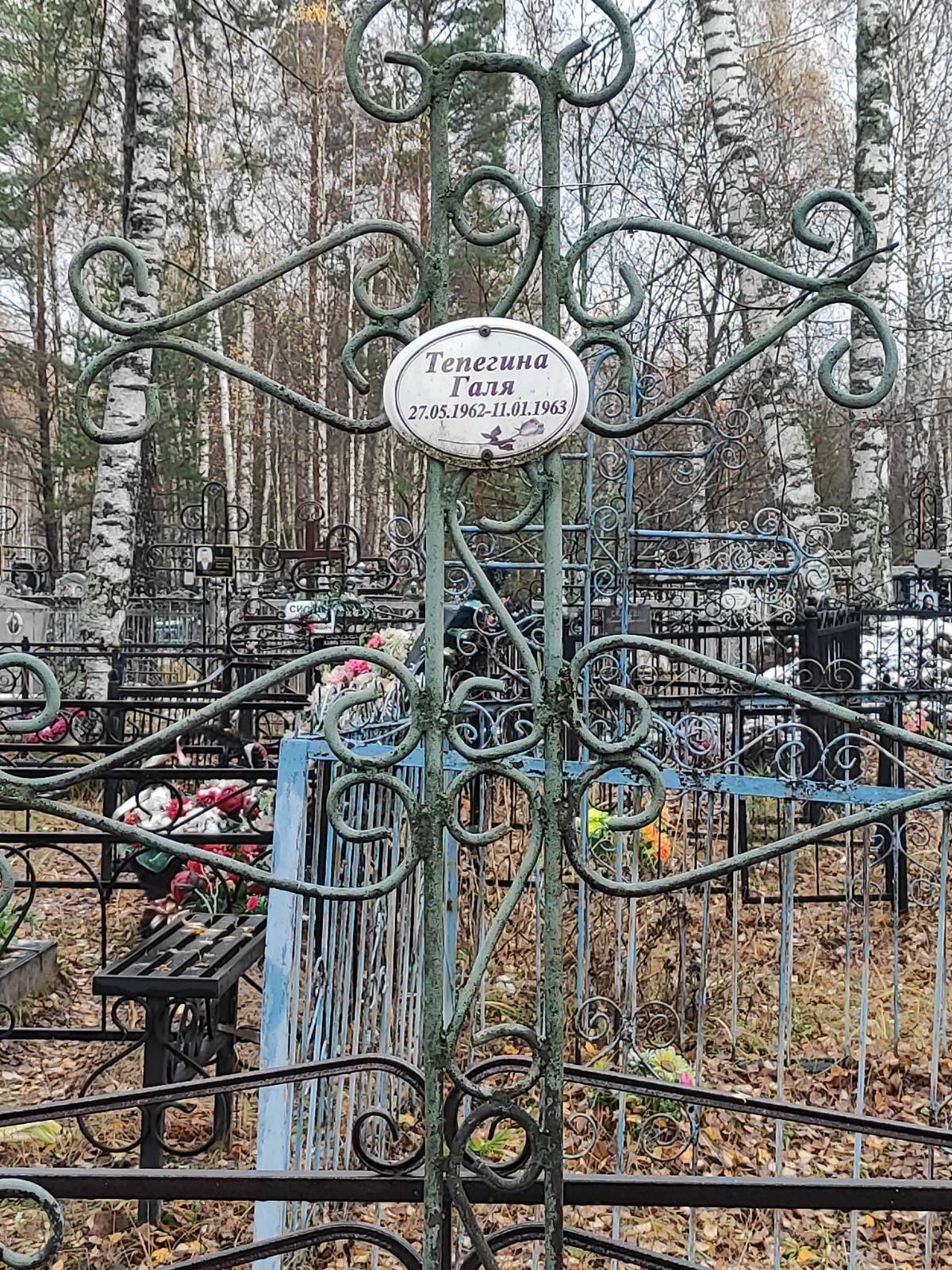 Тепегина Галя