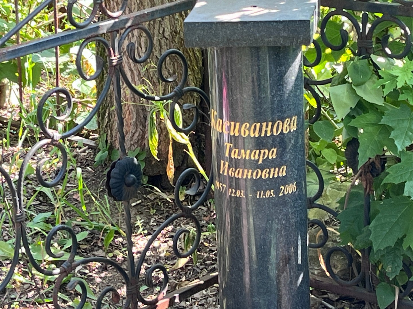 Касиванова