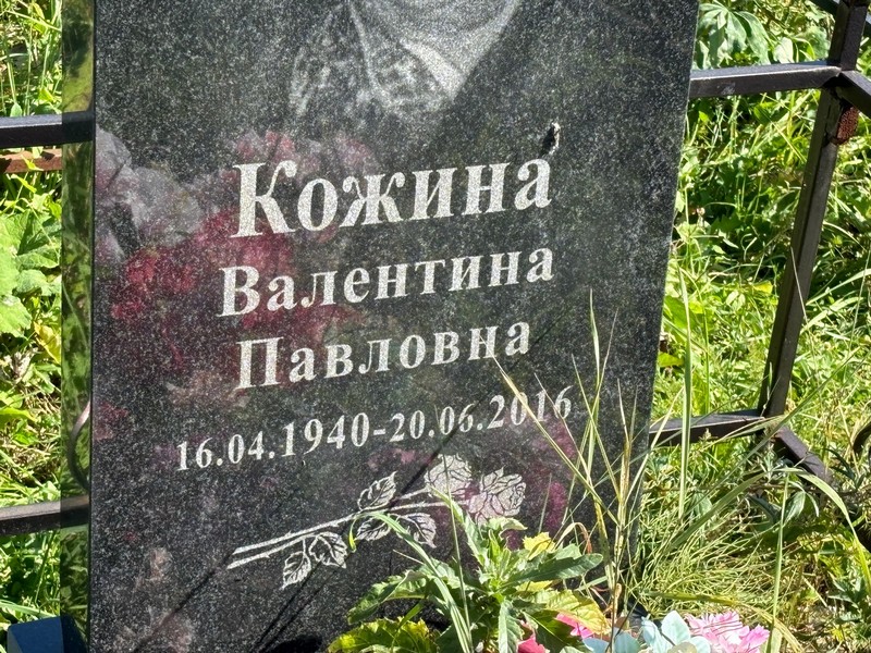 Кожина