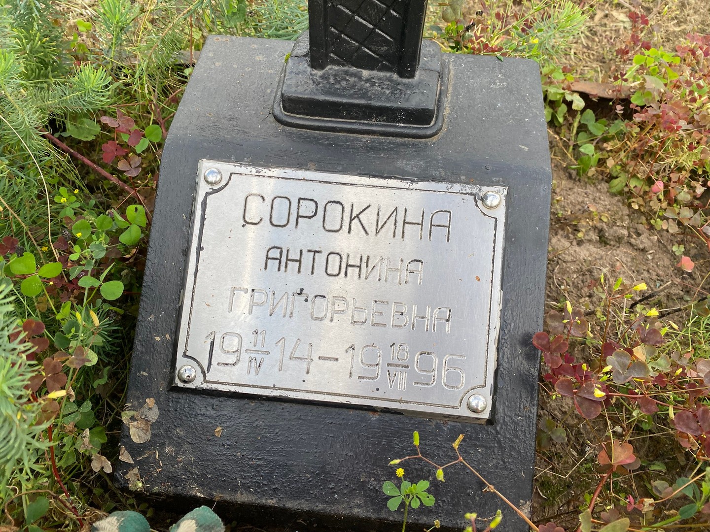 Сорокина Антонина Григорьевна