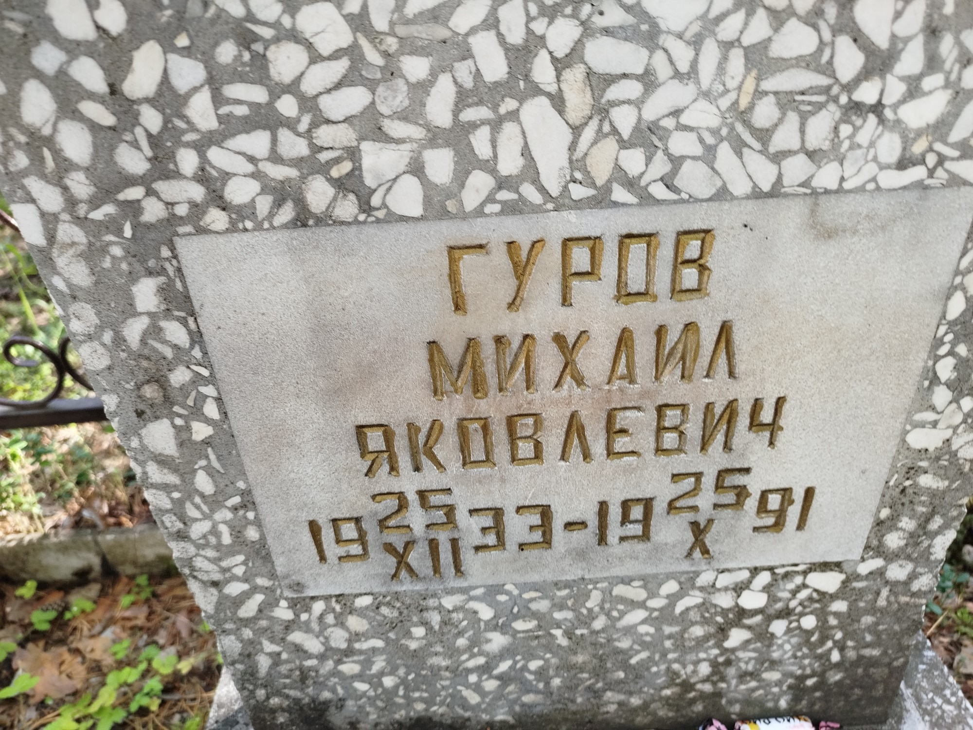 Гуров Михаил Яковлевич