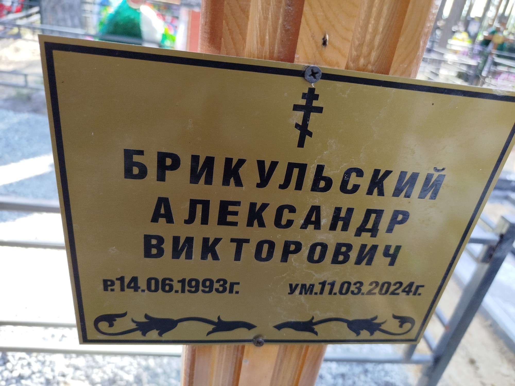 Брикульский Александр Викторович