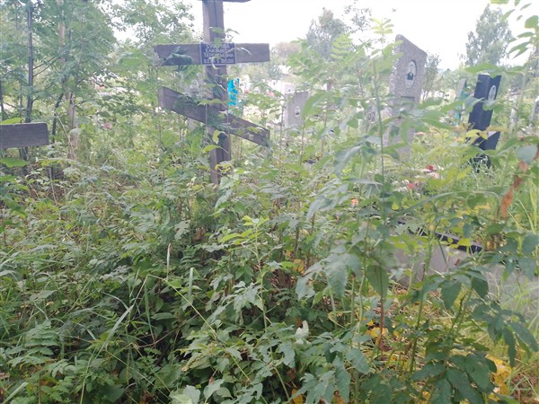 Суворова Елизавета Терентьевна