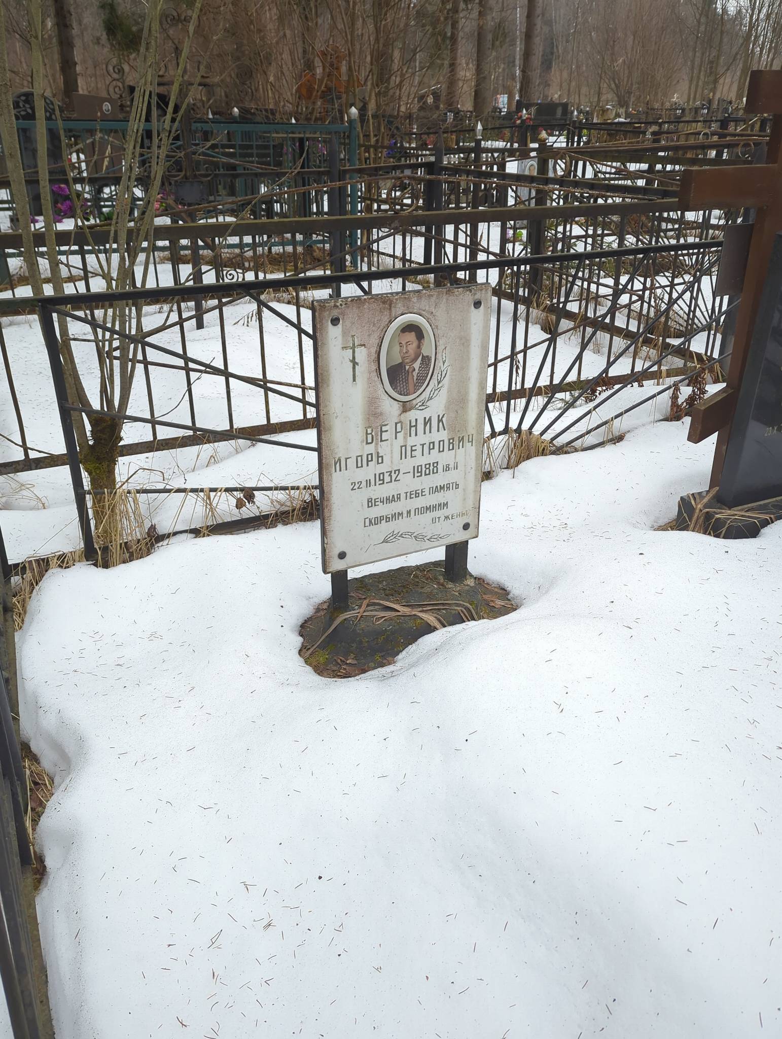 Верник Игорь Петрович