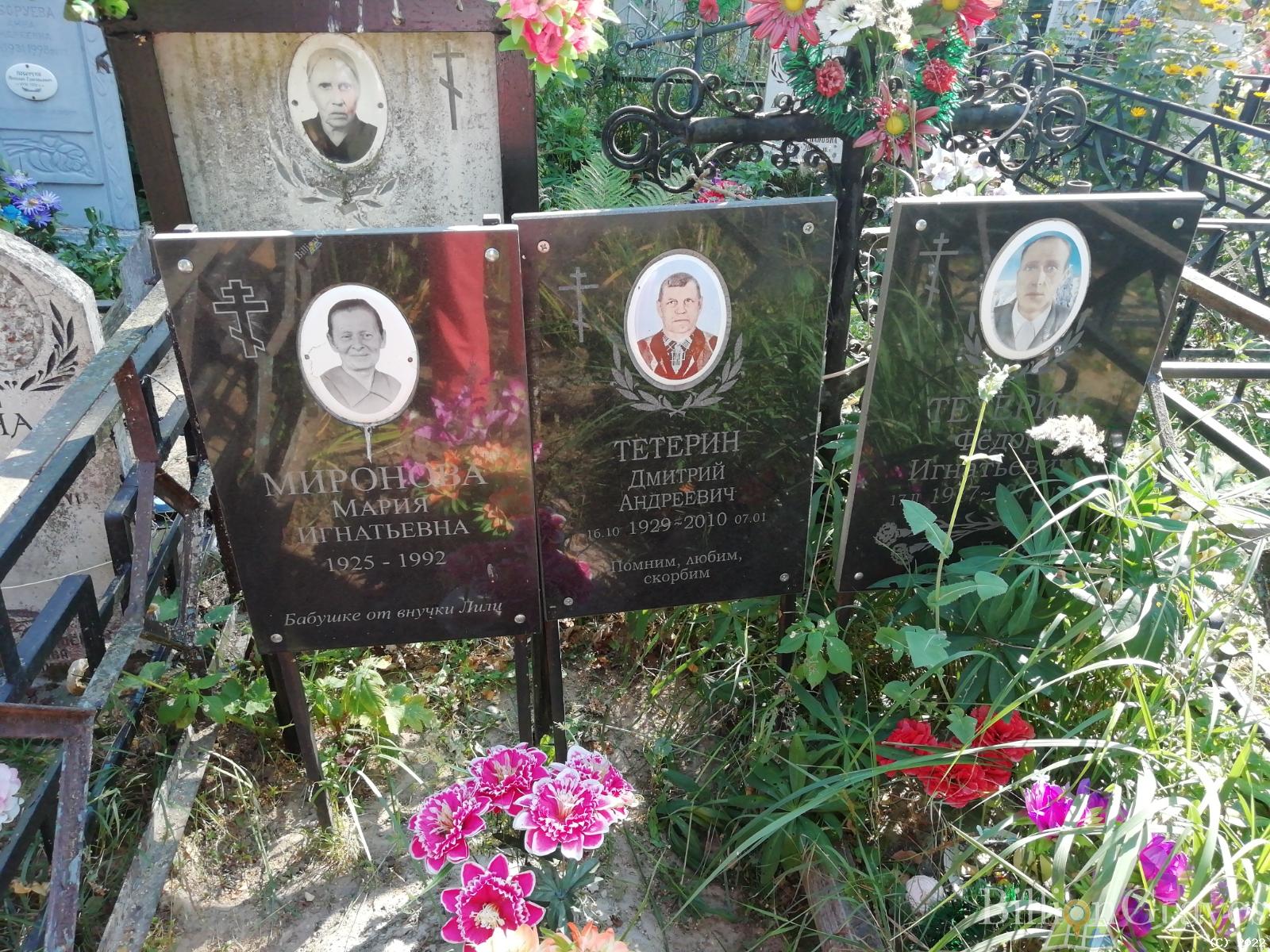 Тетерин Дмитрий Андреевич