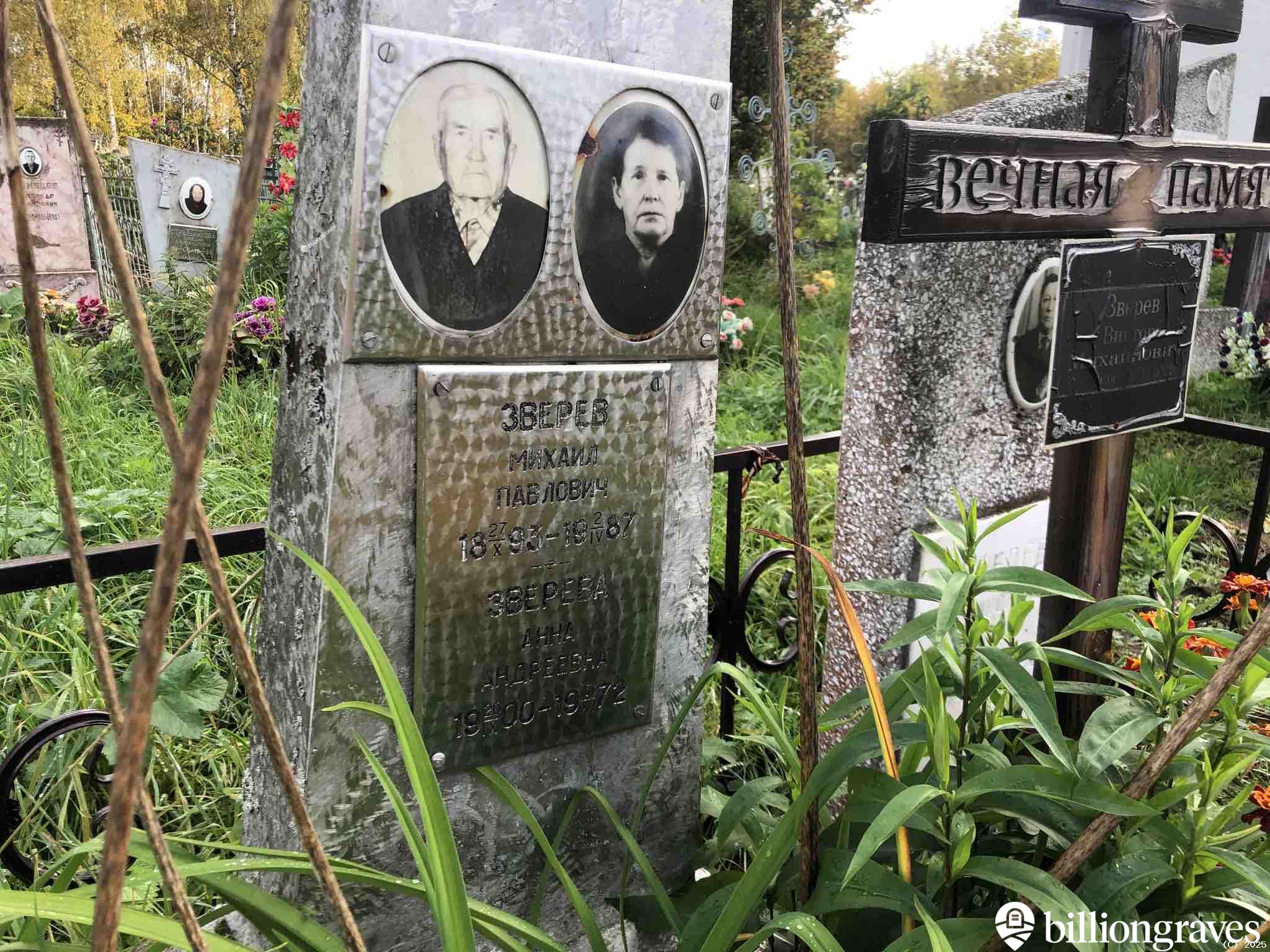 Зверева Анна Андреевна