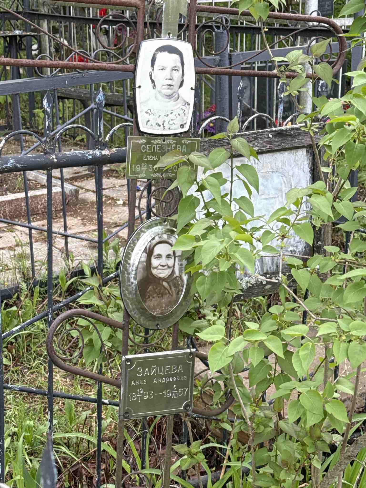Зайцева Анна Андреевна