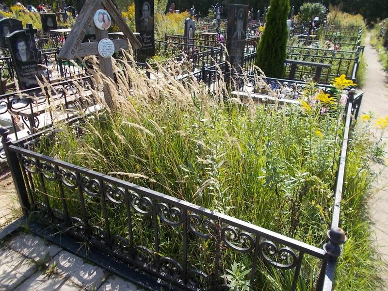 Лесюков Александр Васильевич