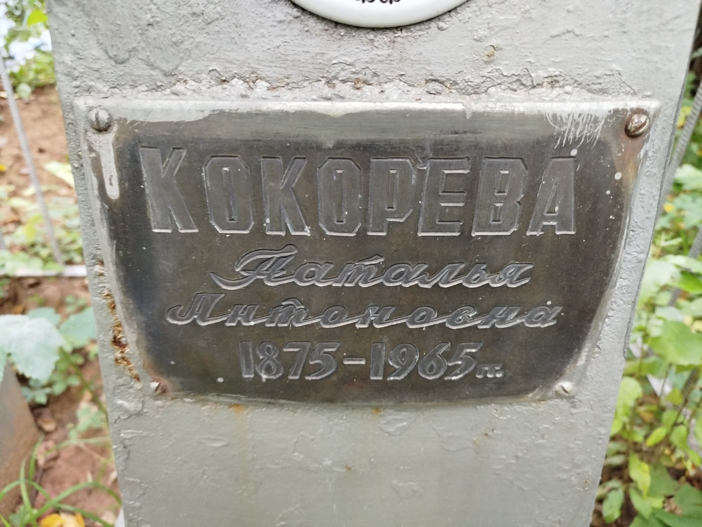 Кокорева