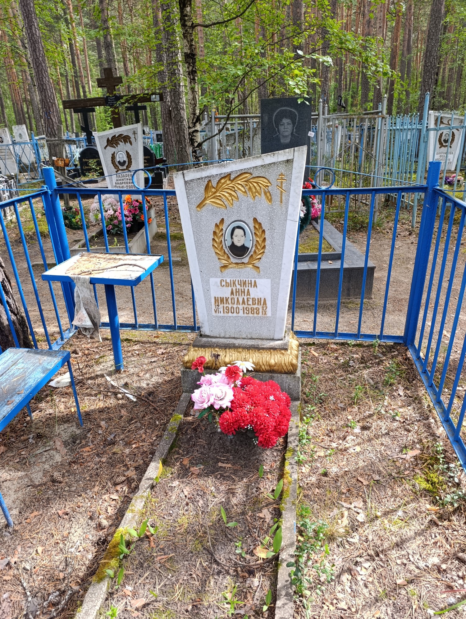 Сычкина Анна Николаевна
