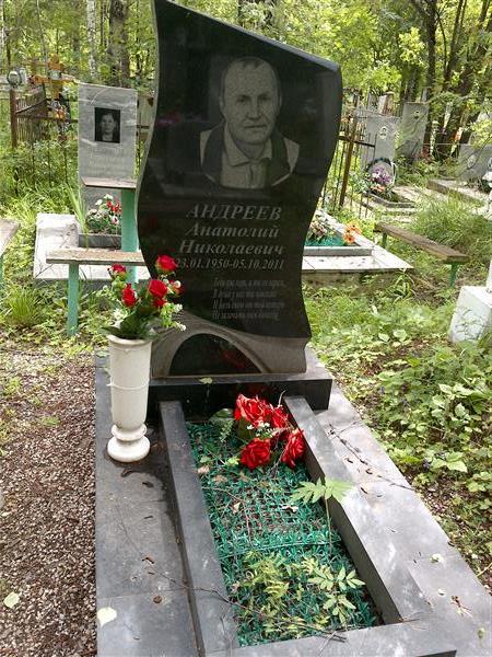Андреев Анатолий Николаевич