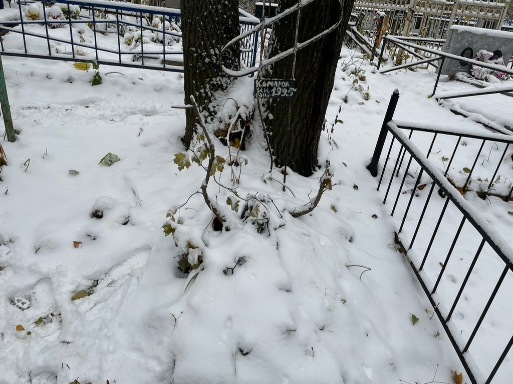 Комаров И И