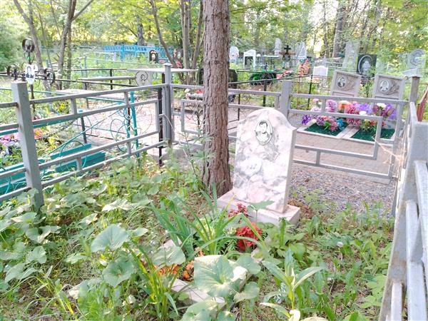 Алехин Владимир Яковлевич
