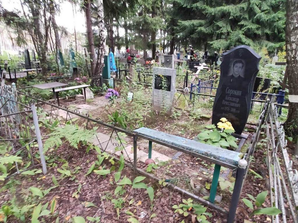 Сорокин Анатолий Александрович