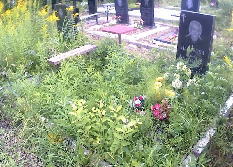 Назарова Мария Павловна