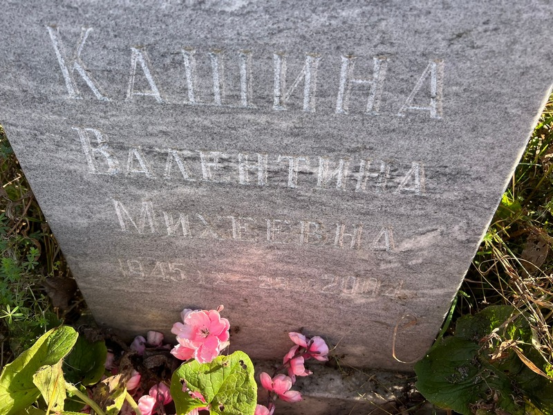 Кашина