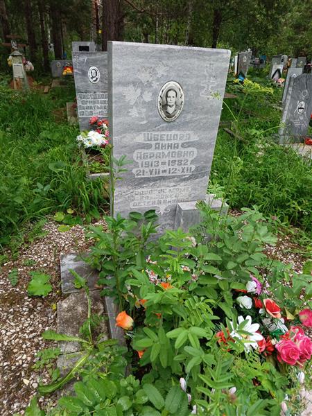 Швецова Анна Абрамовна