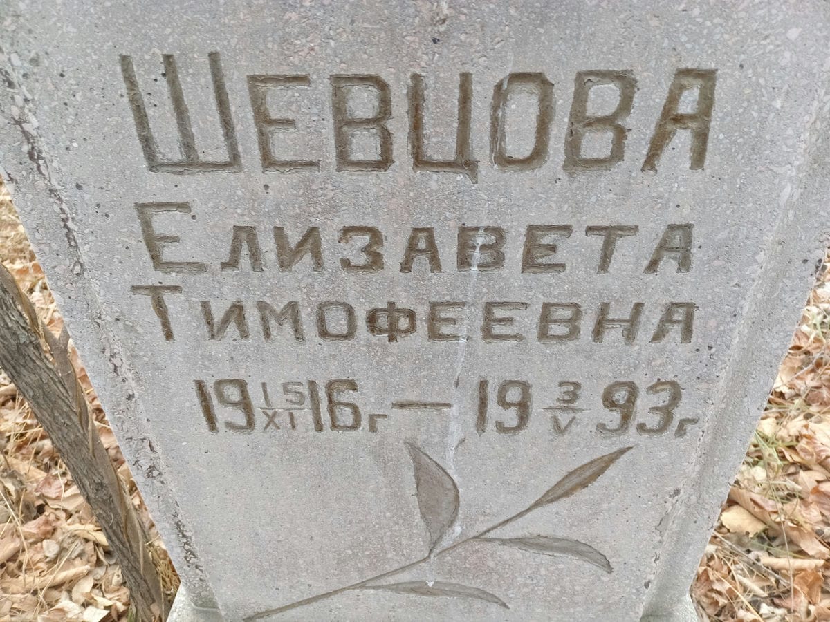 Шевцова Елизавета Тимофеевна
