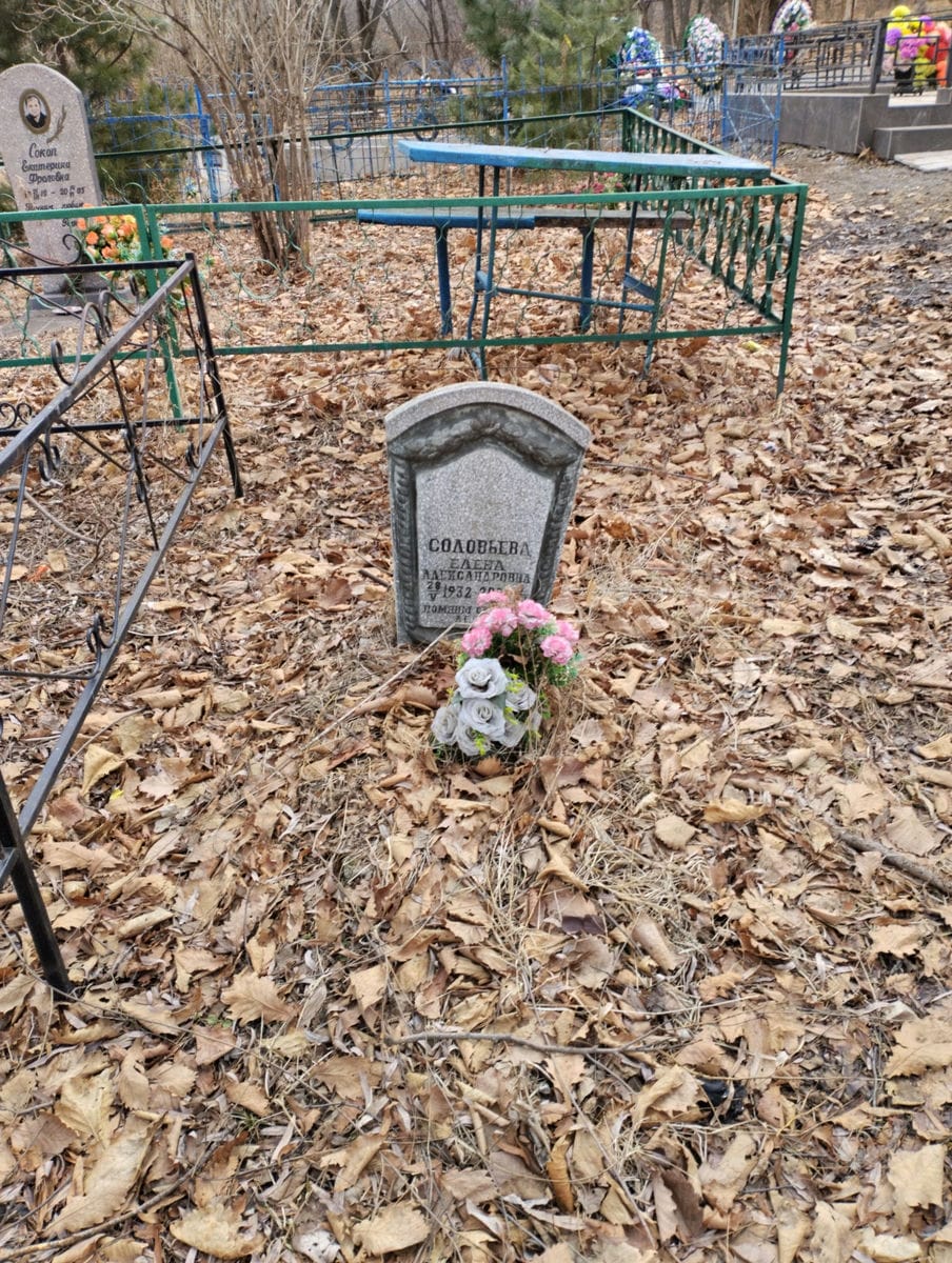 Соловьева Елена Александровна