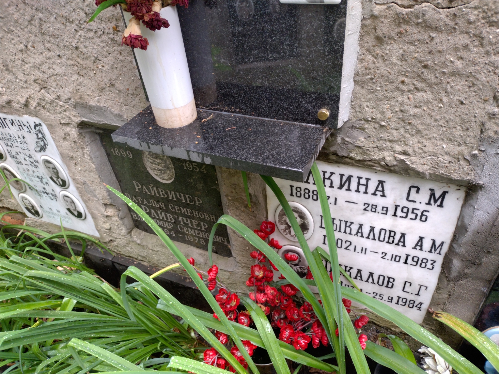 Белкина С. М.