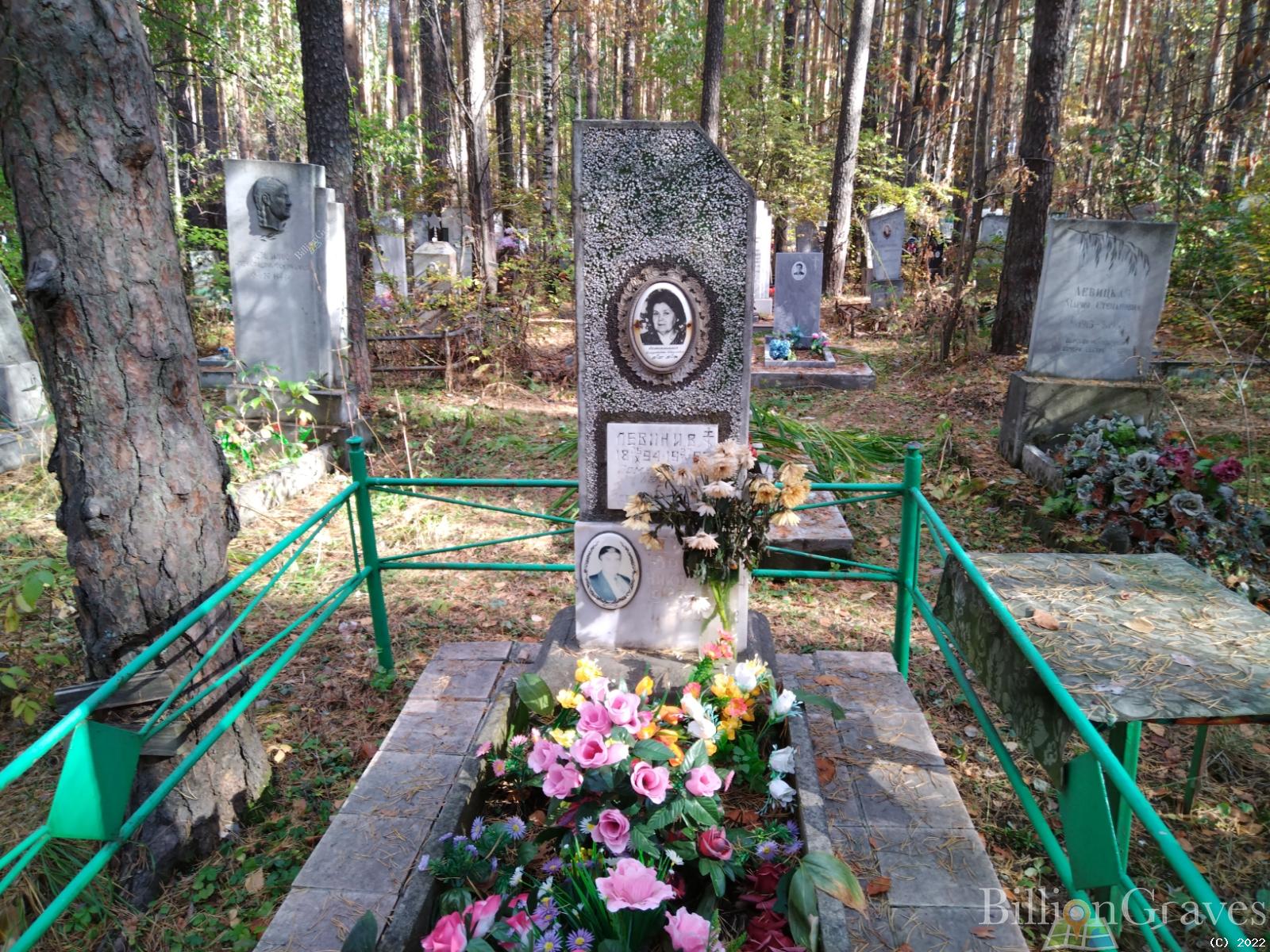 Левин И. В.