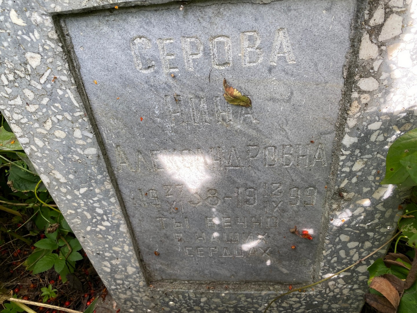 Серова