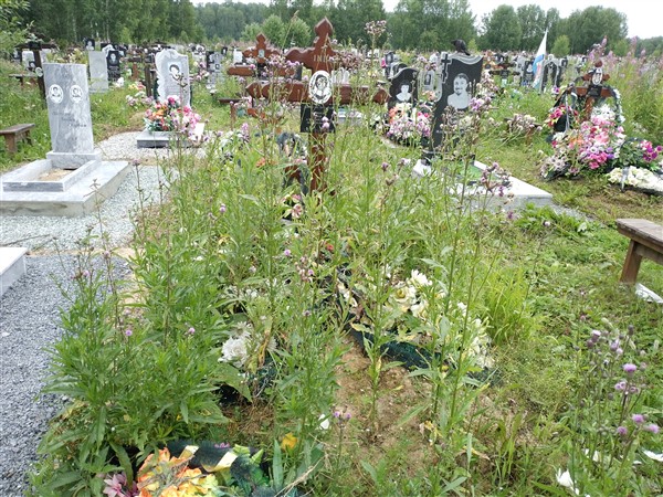 Меринова Лия Александровна