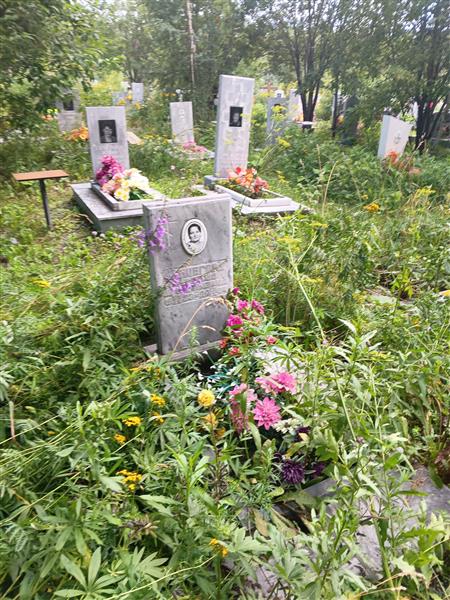 Шешегова Нина Игнатьевна