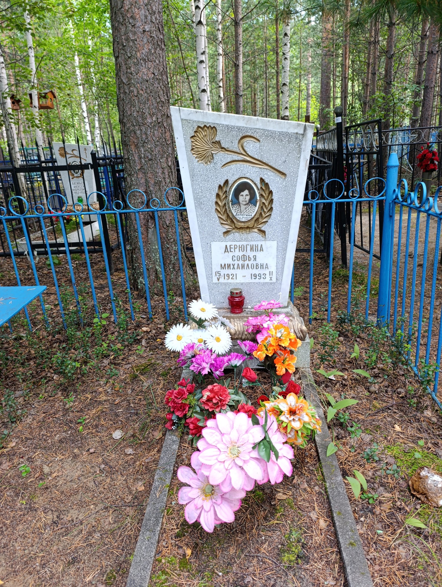 Дерюгина Софья Михайловна