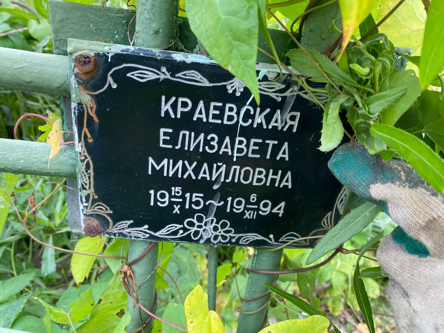 Краевская