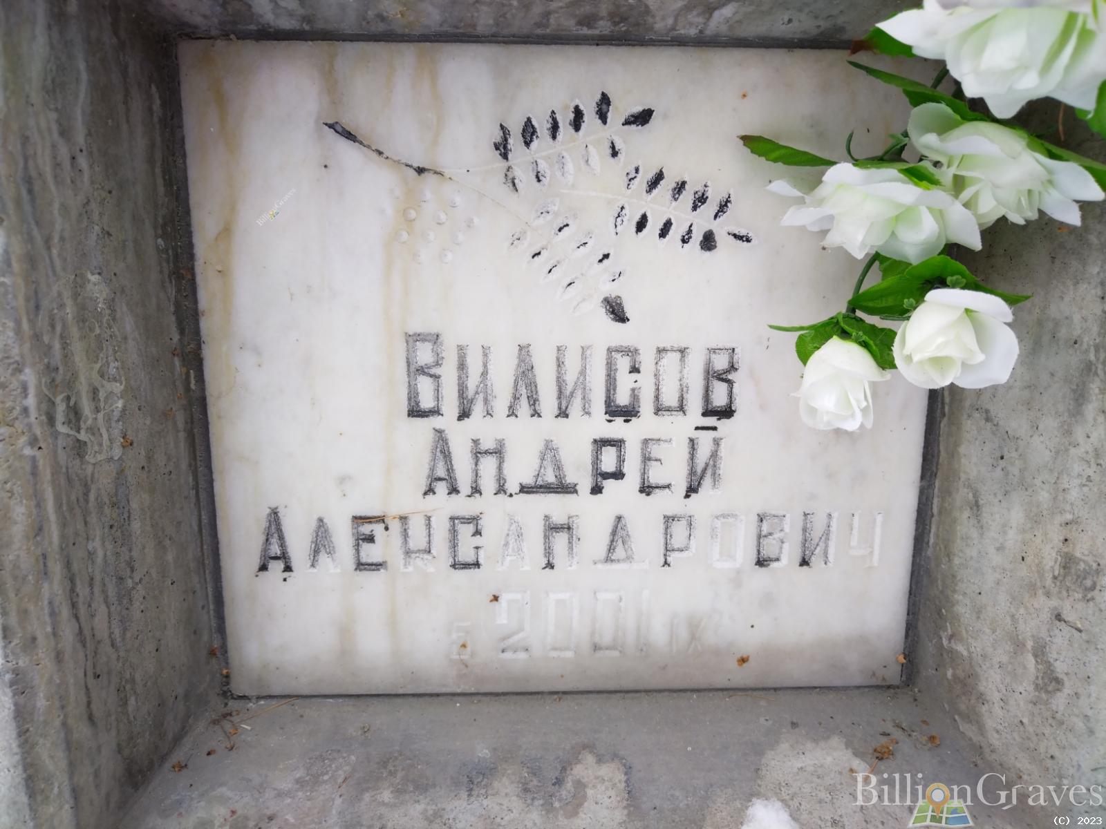 Вилисов Андрей Александрович
