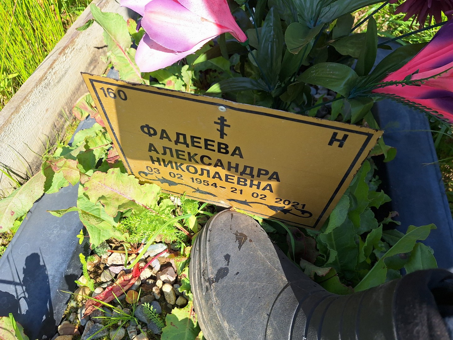 Фадеева Александра Николаевна