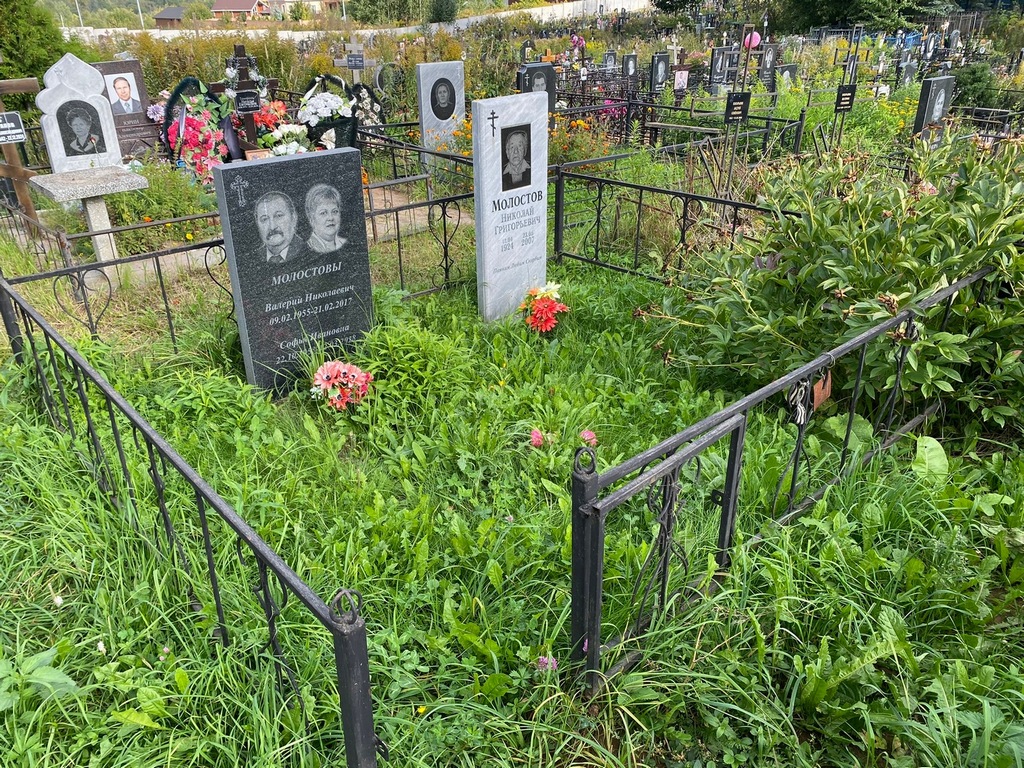 Молостов Николай Григорьевич