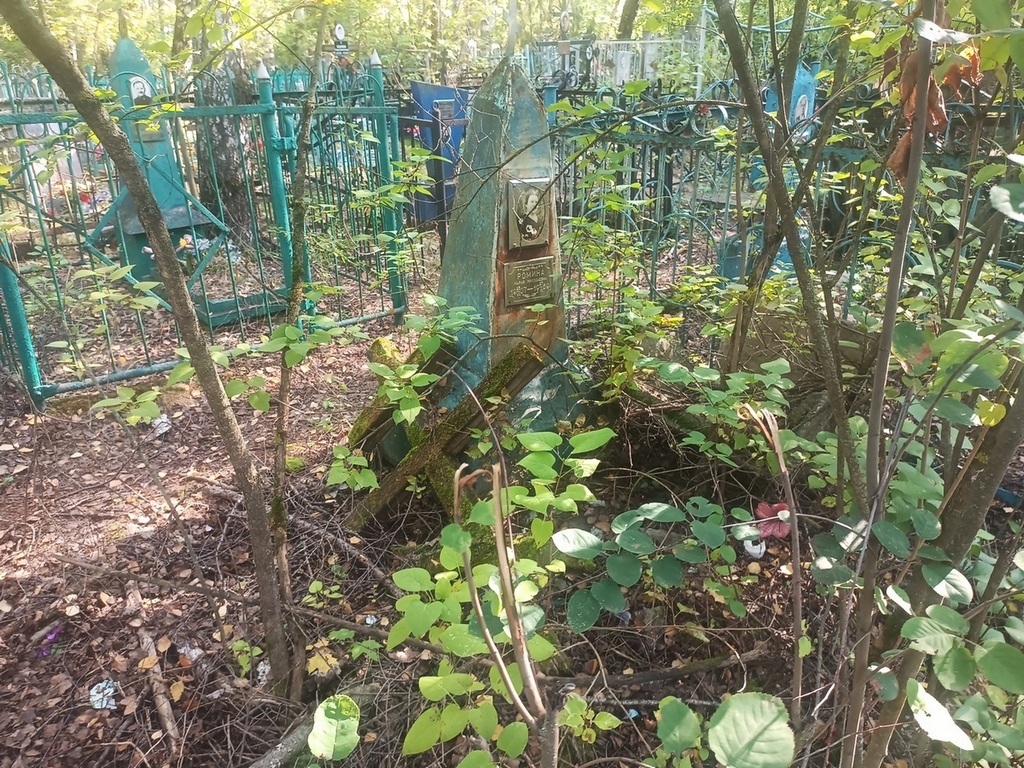 Ромина Мария Николаевна
