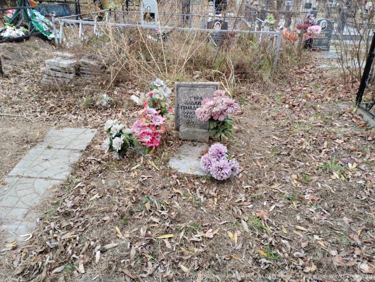 Гура Павлина Геннадьевна