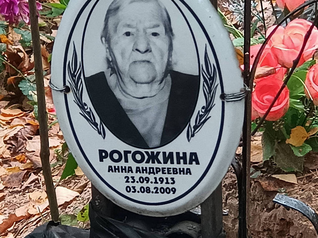 Рогожина Анна Андреевна