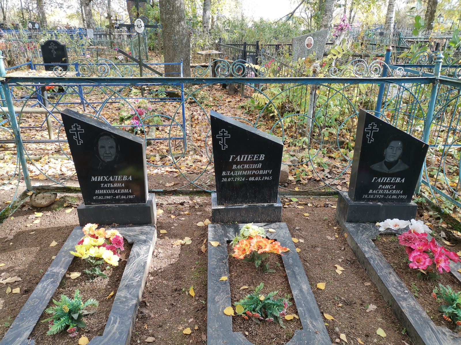 Гапеев Василий Владимирович