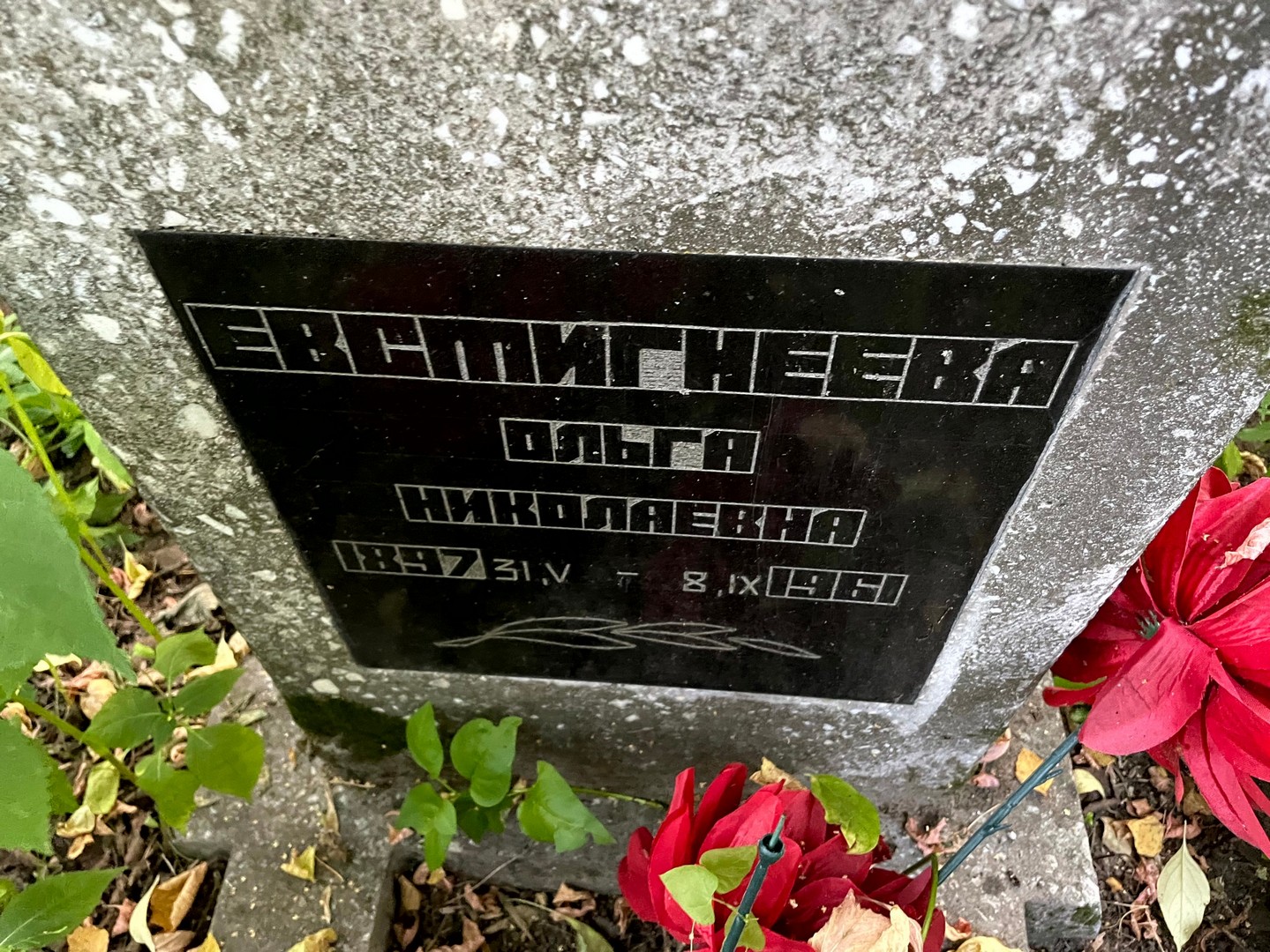 Евстигнеева