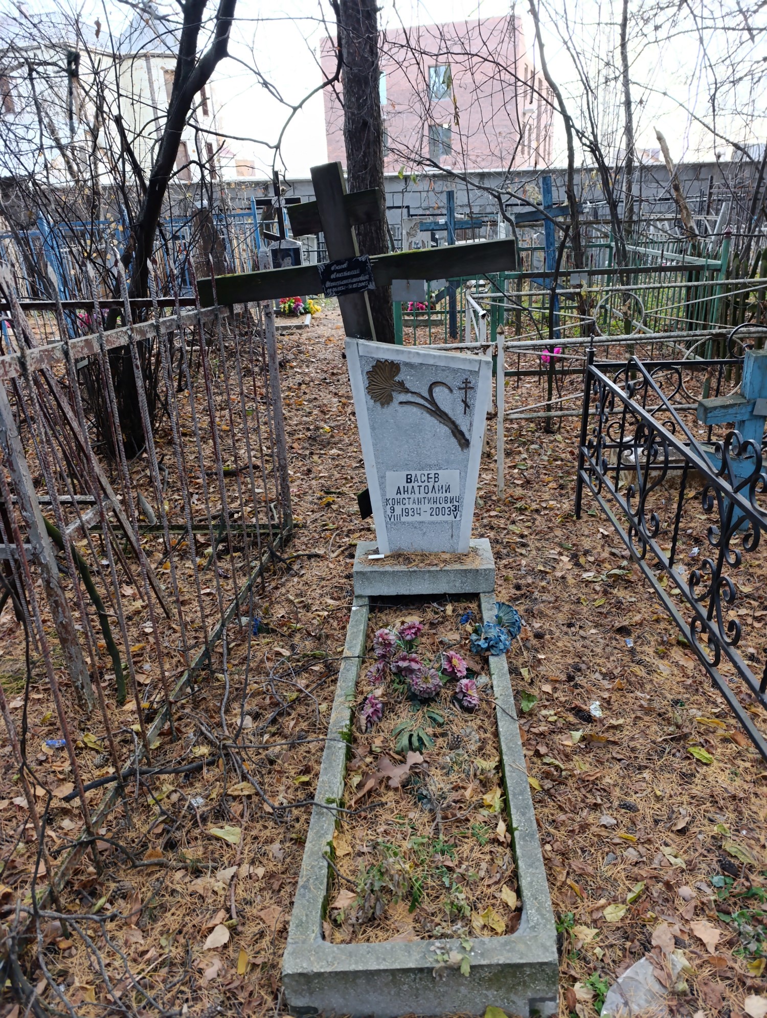 Васев Анатолий Константинович