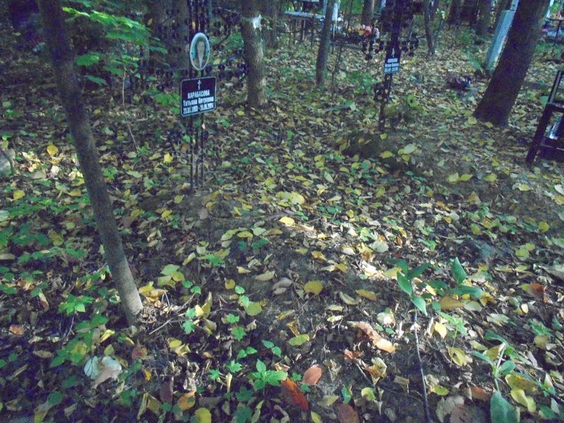 Карабасова Татьяна Петровна