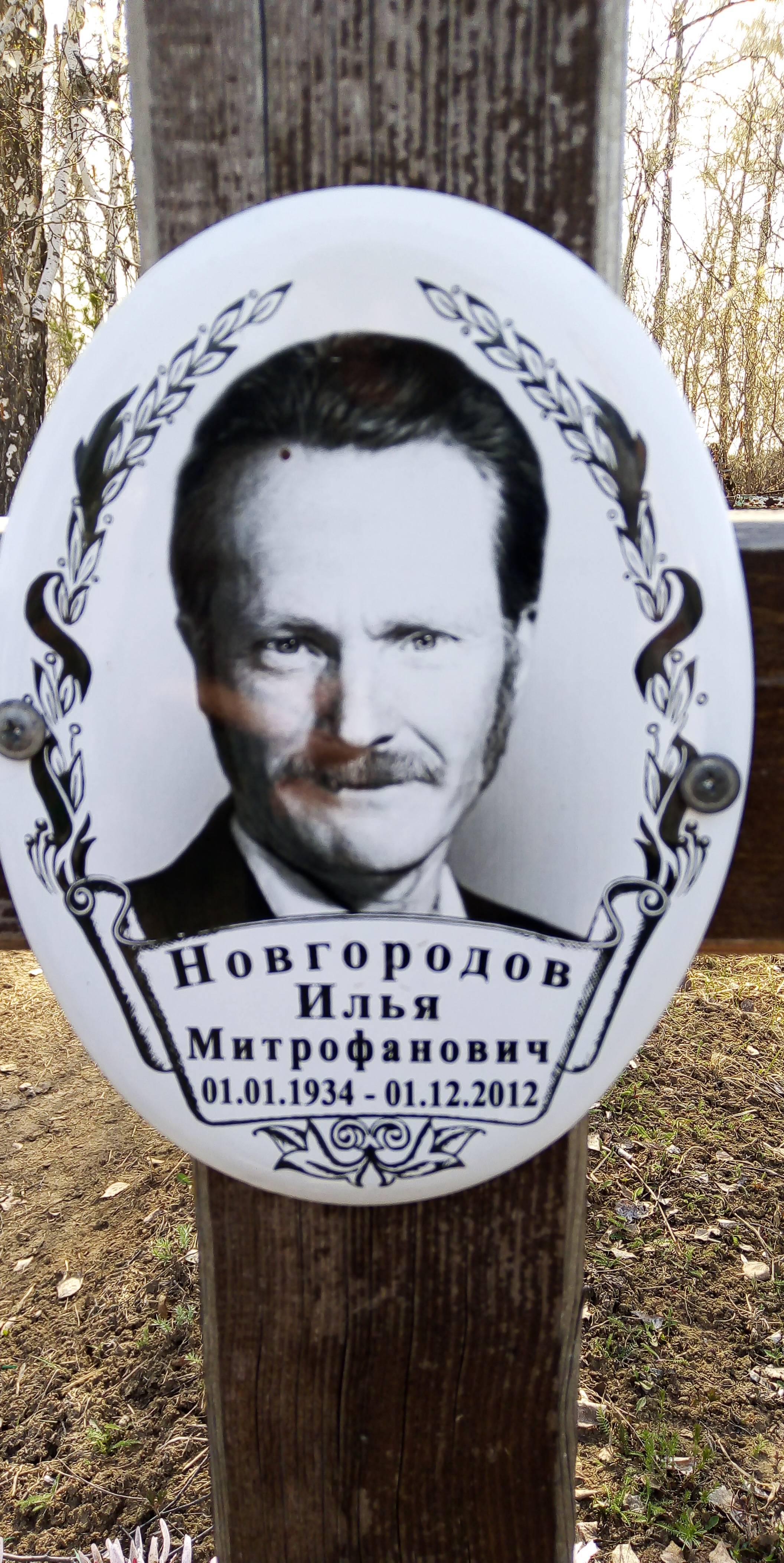 Новгородов Илья Митрофанович