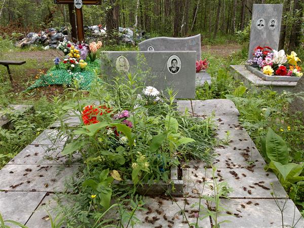 Ильиных Клавдия Дмитриевна