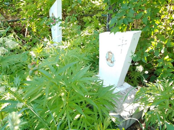 Логунов Сергей Александрович