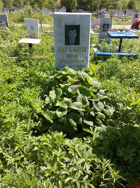 Васькин Иван Фёдорович