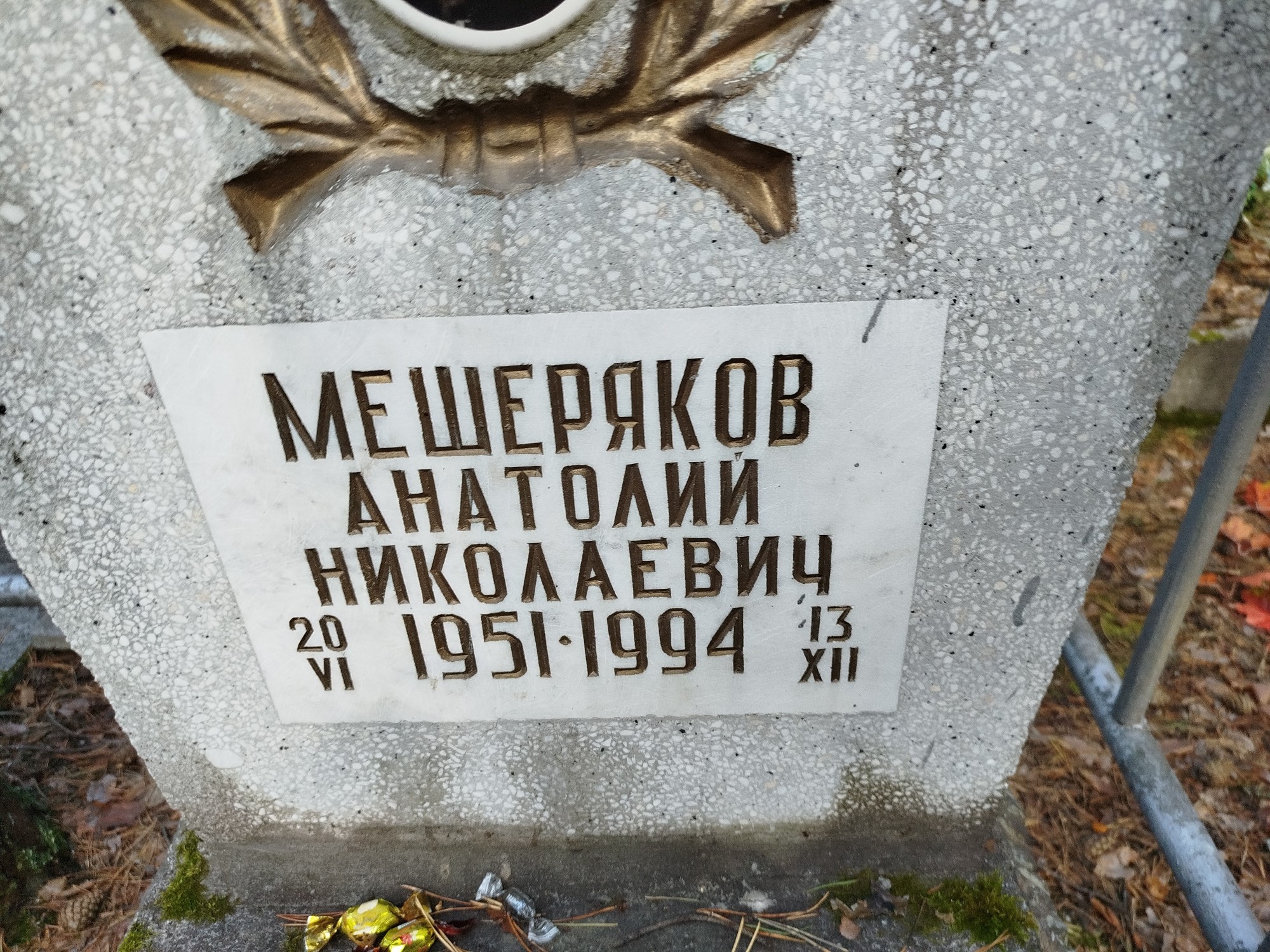 Мещеряков Анатолий Николаевич